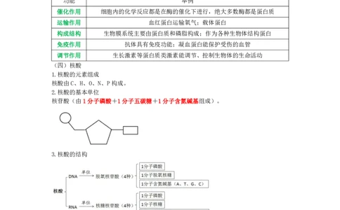 教师资格《（高中）生物》三色速记手册_4-教培资料-26年最新资料-同步更新_初中高中教资_03科三专项（进去保存报考的学科即可）_03科三初高中三色笔记（无水印版）_高中