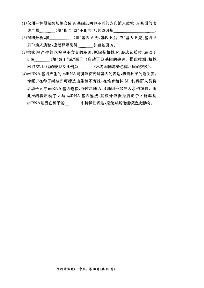 湖南省长沙市第一中学2024-2025学年高二下学期6月期末考试生物试题（含答案）_2025年6月_250623湖南省长沙市第一中学2024-2025学年高二下学期6月期末