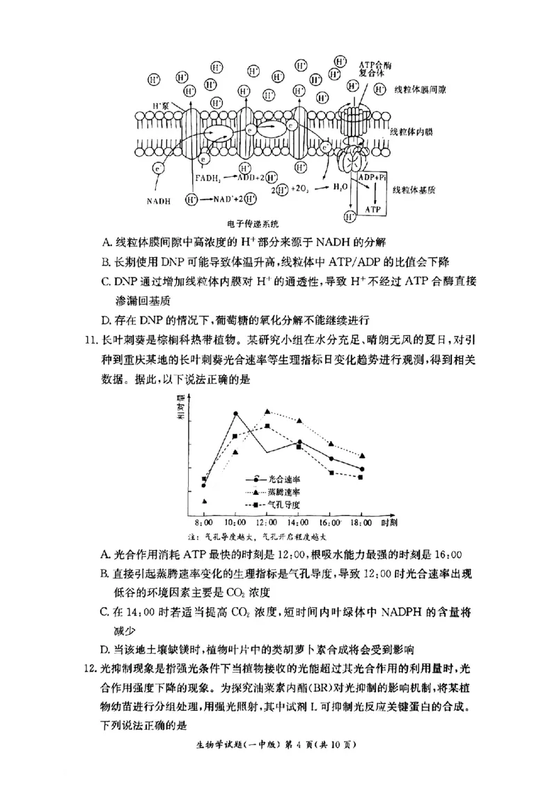 湖南省长沙市第一中学2024-2025学年高二下学期6月期末考试生物试题（含答案）_2025年6月_250623湖南省长沙市第一中学2024-2025学年高二下学期6月期末