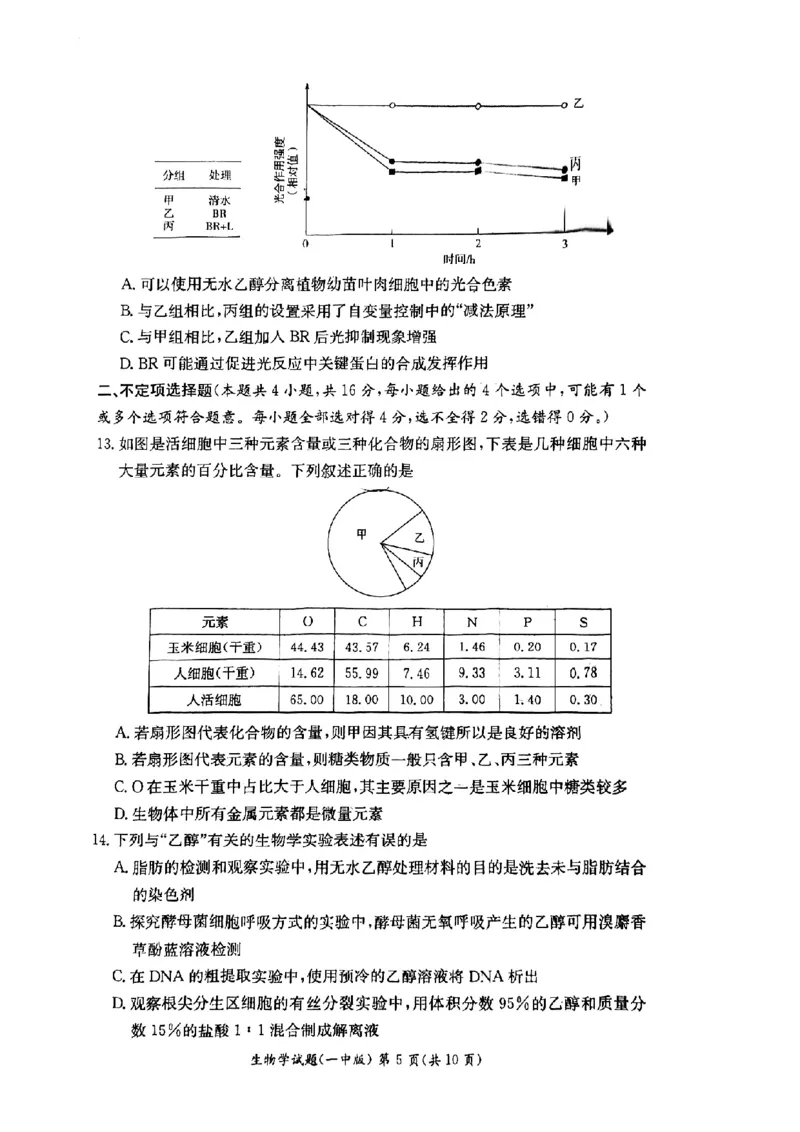 湖南省长沙市第一中学2024-2025学年高二下学期6月期末考试生物试题（含答案）_2025年6月_250623湖南省长沙市第一中学2024-2025学年高二下学期6月期末
