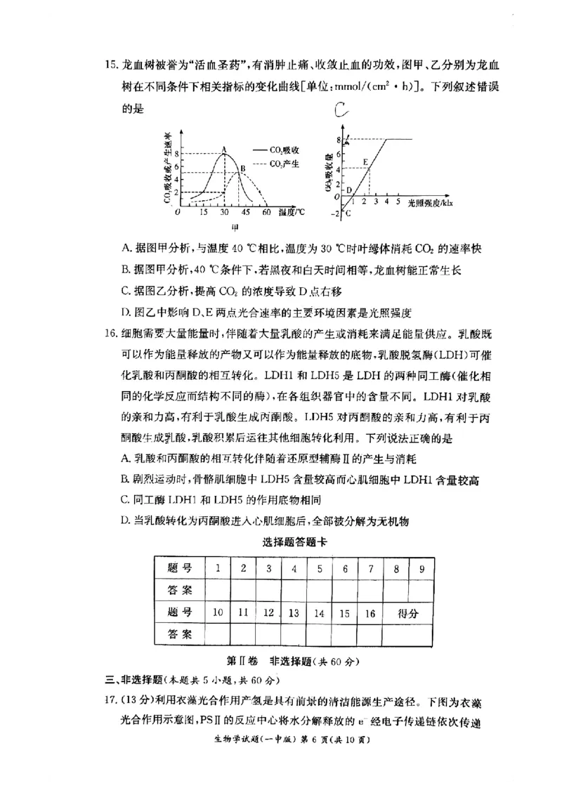 湖南省长沙市第一中学2024-2025学年高二下学期6月期末考试生物试题（含答案）_2025年6月_250623湖南省长沙市第一中学2024-2025学年高二下学期6月期末