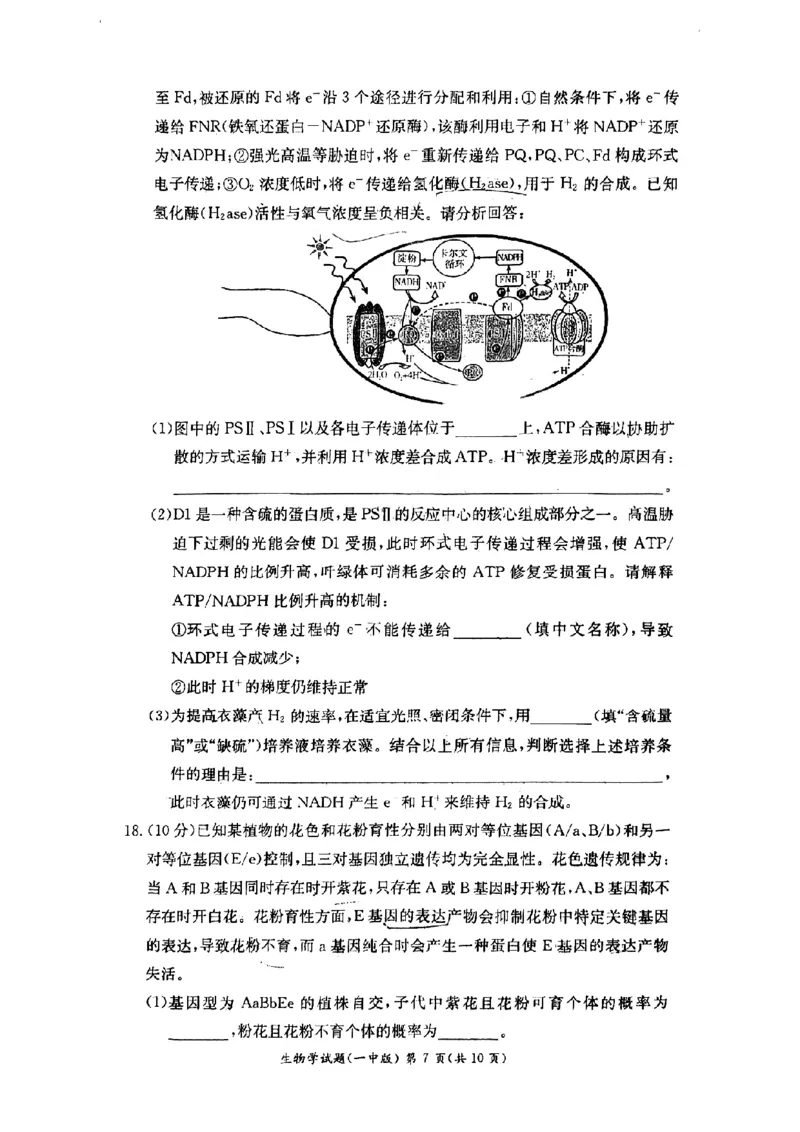 湖南省长沙市第一中学2024-2025学年高二下学期6月期末考试生物试题（含答案）_2025年6月_250623湖南省长沙市第一中学2024-2025学年高二下学期6月期末