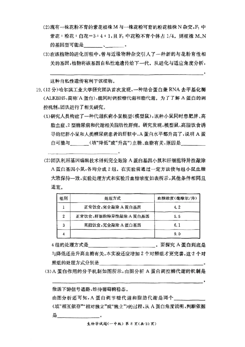 湖南省长沙市第一中学2024-2025学年高二下学期6月期末考试生物试题（含答案）_2025年6月_250623湖南省长沙市第一中学2024-2025学年高二下学期6月期末