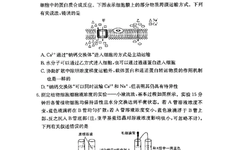 湖南省长沙市第一中学2024-2025学年高二下学期6月期末考试生物试题（含答案）_2025年6月_250623湖南省长沙市第一中学2024-2025学年高二下学期6月期末