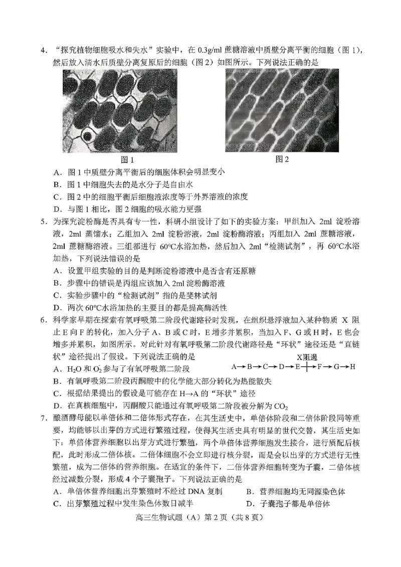 菏泽市A类高中2026届高三第一学期期中考试生物_251118山东省菏泽市A类高中2026届高三第一学期期中考试
