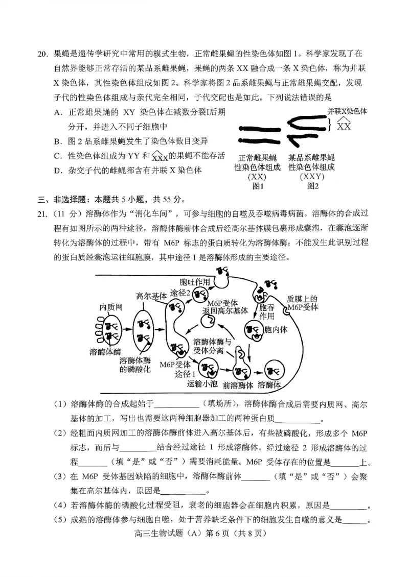 菏泽市A类高中2026届高三第一学期期中考试生物_251118山东省菏泽市A类高中2026届高三第一学期期中考试