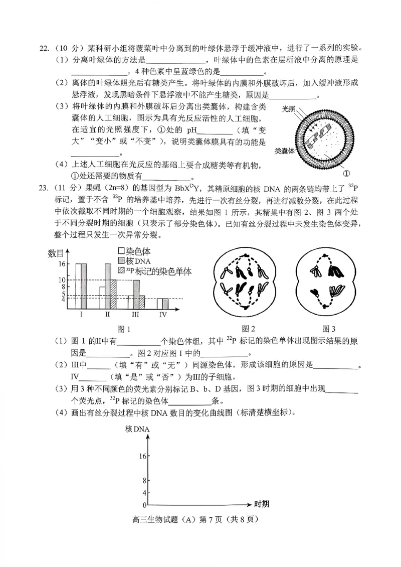 菏泽市A类高中2026届高三第一学期期中考试生物_251118山东省菏泽市A类高中2026届高三第一学期期中考试