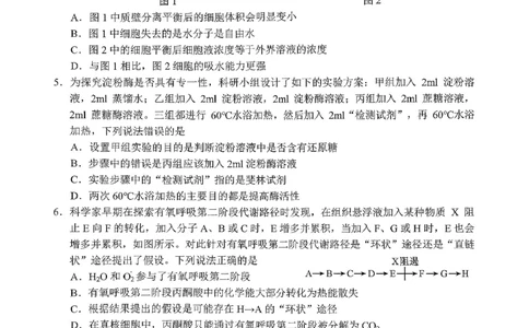 菏泽市A类高中2026届高三第一学期期中考试生物_251118山东省菏泽市A类高中2026届高三第一学期期中考试