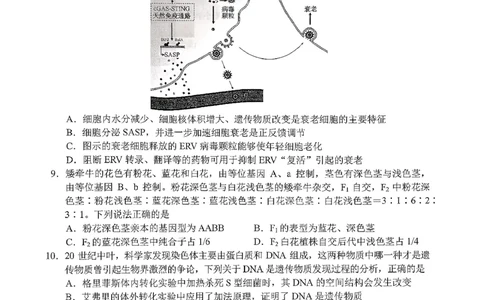 菏泽市A类高中2026届高三第一学期期中考试生物_251118山东省菏泽市A类高中2026届高三第一学期期中考试