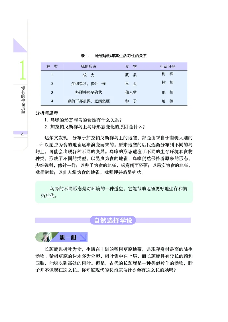 武汉版9年级科学下册高清教材_4-教培资料-26年最新资料-同步更新_初中高中教资_03科三专项（进去保存报考的学科即可）_02科三专项（笔记真题思维导图教学设计版本二）