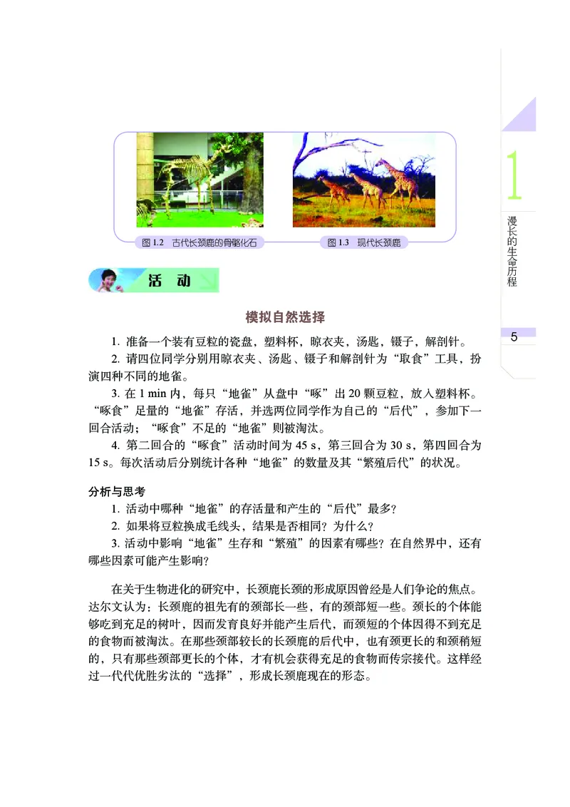 武汉版9年级科学下册高清教材_4-教培资料-26年最新资料-同步更新_初中高中教资_03科三专项（进去保存报考的学科即可）_02科三专项（笔记真题思维导图教学设计版本二）