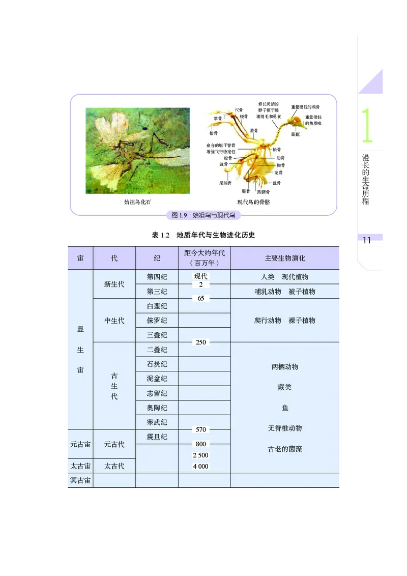 武汉版9年级科学下册高清教材_4-教培资料-26年最新资料-同步更新_初中高中教资_03科三专项（进去保存报考的学科即可）_02科三专项（笔记真题思维导图教学设计版本二）