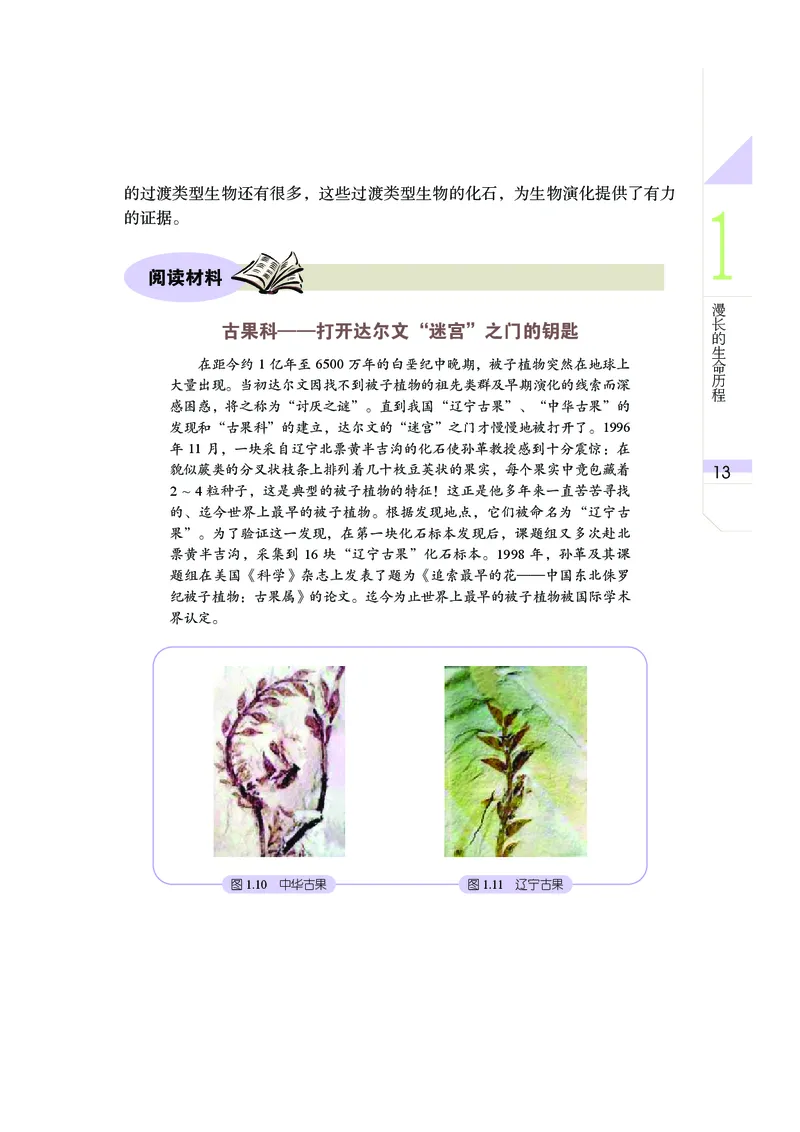 武汉版9年级科学下册高清教材_4-教培资料-26年最新资料-同步更新_初中高中教资_03科三专项（进去保存报考的学科即可）_02科三专项（笔记真题思维导图教学设计版本二）