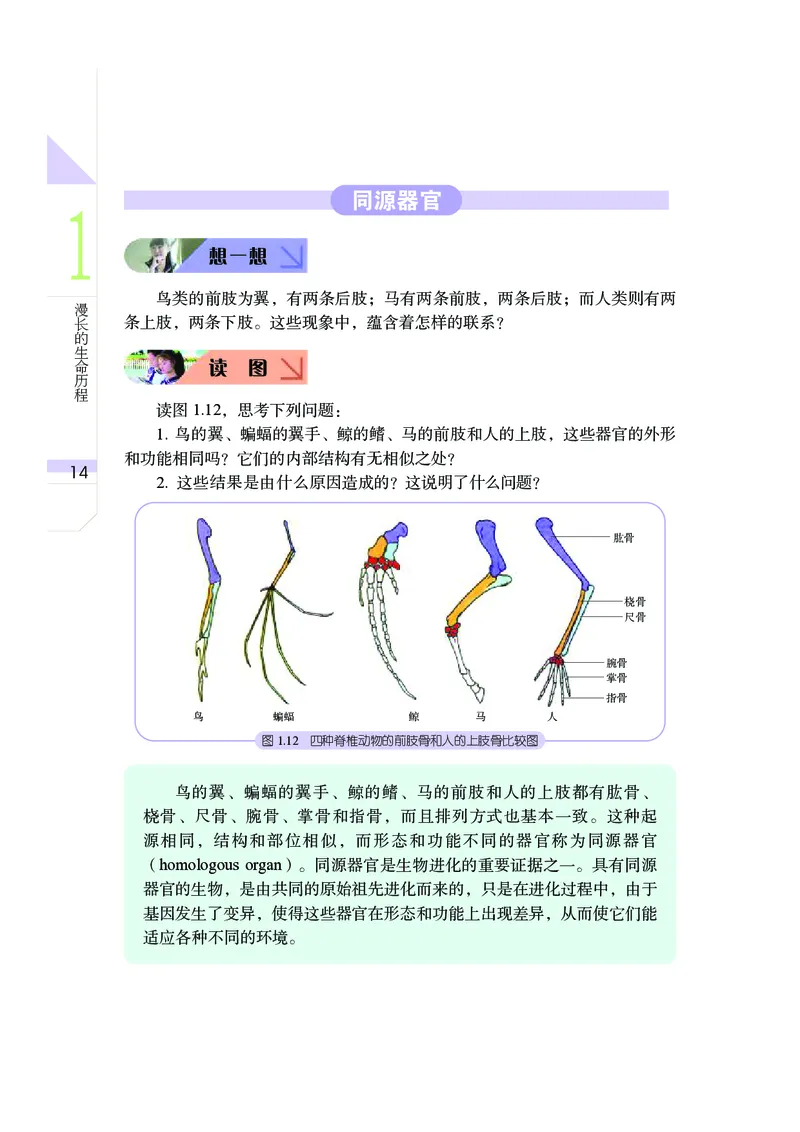 武汉版9年级科学下册高清教材_4-教培资料-26年最新资料-同步更新_初中高中教资_03科三专项（进去保存报考的学科即可）_02科三专项（笔记真题思维导图教学设计版本二）