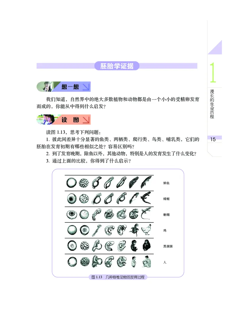 武汉版9年级科学下册高清教材_4-教培资料-26年最新资料-同步更新_初中高中教资_03科三专项（进去保存报考的学科即可）_02科三专项（笔记真题思维导图教学设计版本二）