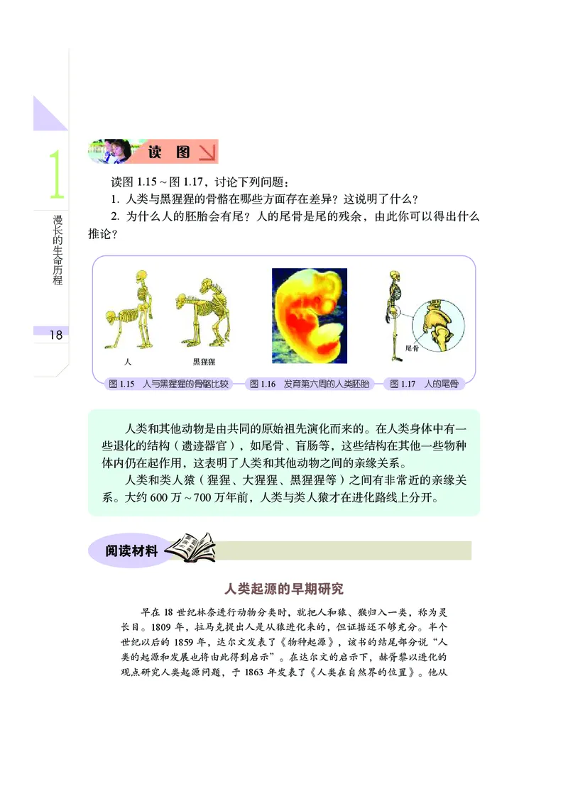 武汉版9年级科学下册高清教材_4-教培资料-26年最新资料-同步更新_初中高中教资_03科三专项（进去保存报考的学科即可）_02科三专项（笔记真题思维导图教学设计版本二）