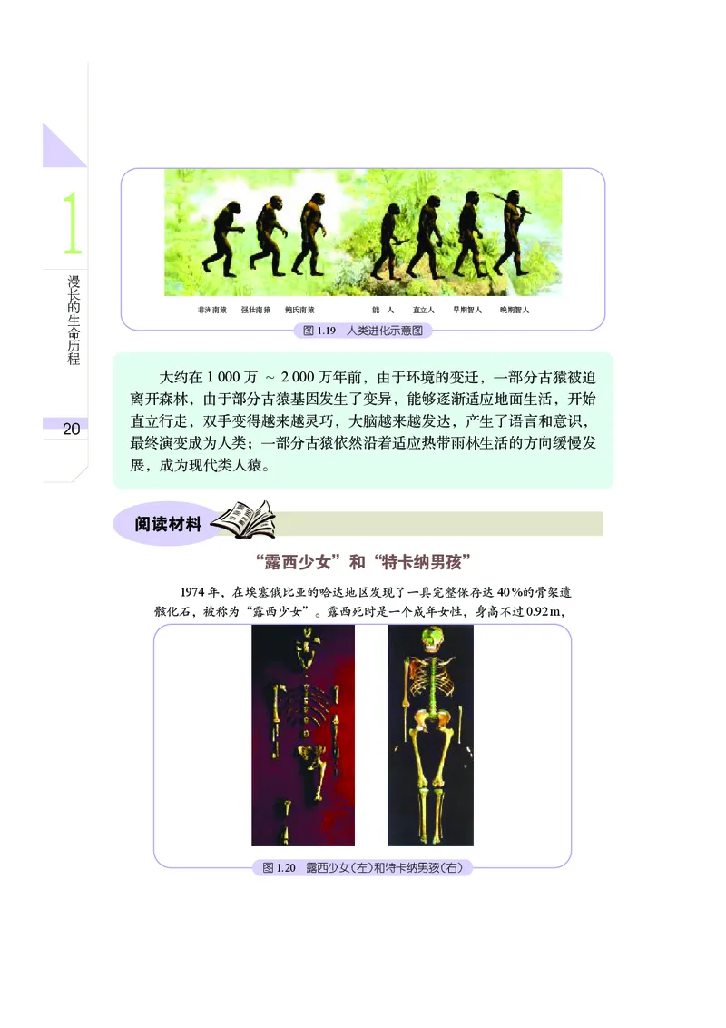 武汉版9年级科学下册高清教材_4-教培资料-26年最新资料-同步更新_初中高中教资_03科三专项（进去保存报考的学科即可）_02科三专项（笔记真题思维导图教学设计版本二）