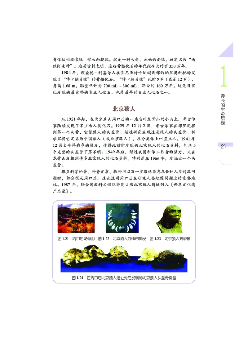 武汉版9年级科学下册高清教材_4-教培资料-26年最新资料-同步更新_初中高中教资_03科三专项（进去保存报考的学科即可）_02科三专项（笔记真题思维导图教学设计版本二）