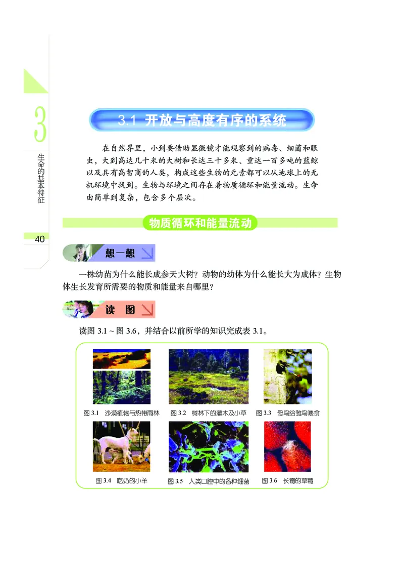 武汉版9年级科学下册高清教材_4-教培资料-26年最新资料-同步更新_初中高中教资_03科三专项（进去保存报考的学科即可）_02科三专项（笔记真题思维导图教学设计版本二）