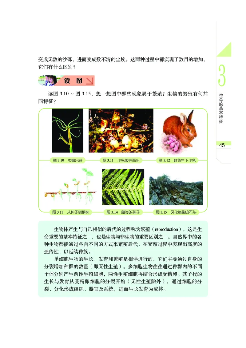 武汉版9年级科学下册高清教材_4-教培资料-26年最新资料-同步更新_初中高中教资_03科三专项（进去保存报考的学科即可）_02科三专项（笔记真题思维导图教学设计版本二）