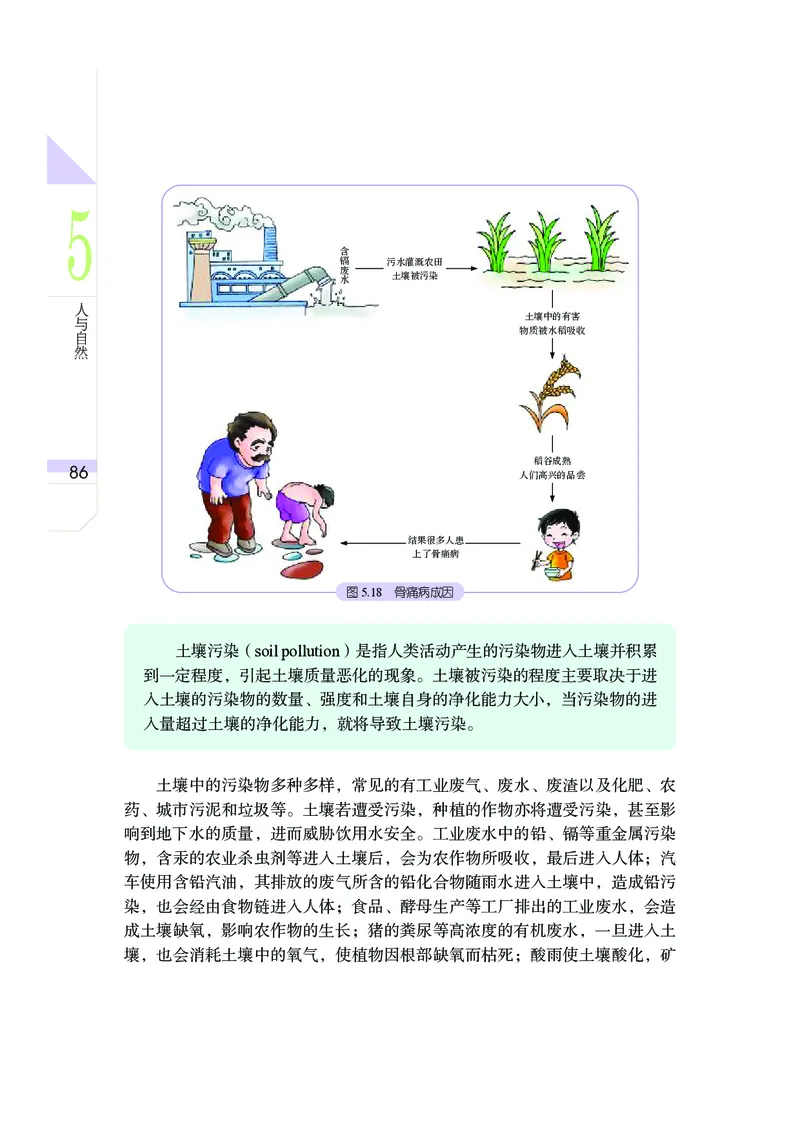 武汉版9年级科学下册高清教材_4-教培资料-26年最新资料-同步更新_初中高中教资_03科三专项（进去保存报考的学科即可）_02科三专项（笔记真题思维导图教学设计版本二）