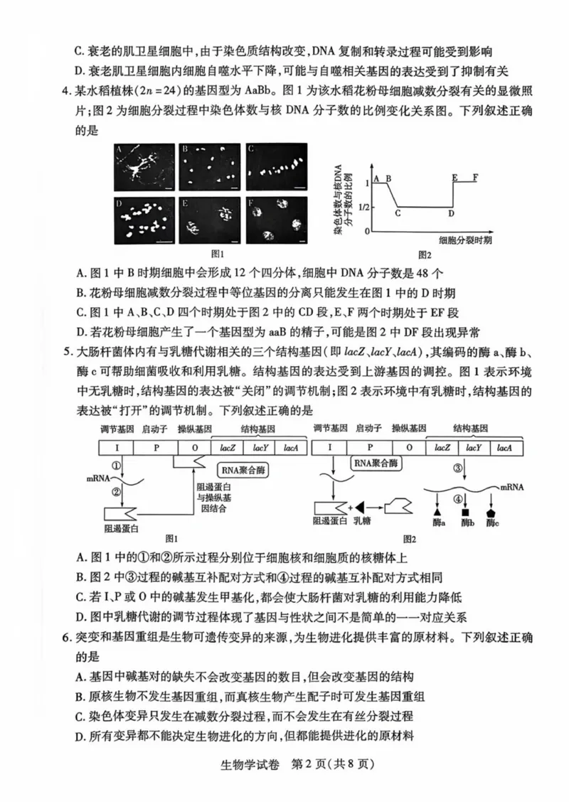 安徽省滁州市2024-2025学年高二下学期期末教学质量监测生物试题（含答案）_2025年7月_250730安徽省滁州市2024-2025学年高二下学期期末考试_0823204624