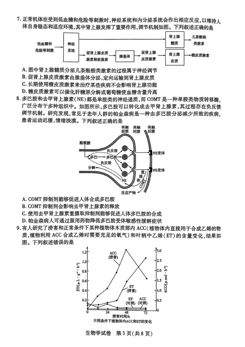 安徽省滁州市2024-2025学年高二下学期期末教学质量监测生物试题（含答案）_2025年7月_250730安徽省滁州市2024-2025学年高二下学期期末考试_0823204624