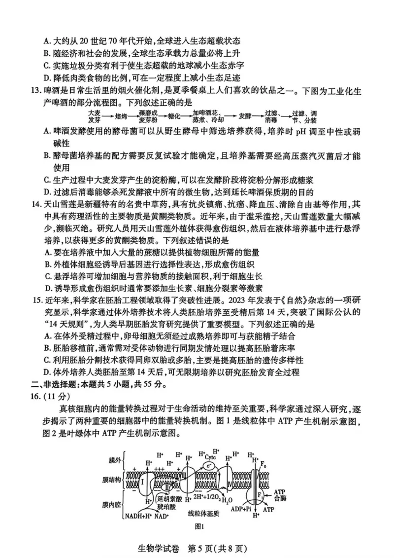 安徽省滁州市2024-2025学年高二下学期期末教学质量监测生物试题（含答案）_2025年7月_250730安徽省滁州市2024-2025学年高二下学期期末考试_0823204624