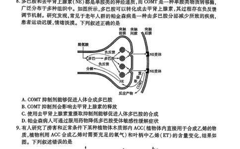 安徽省滁州市2024-2025学年高二下学期期末教学质量监测生物试题（含答案）_2025年7月_250730安徽省滁州市2024-2025学年高二下学期期末考试_0823204624