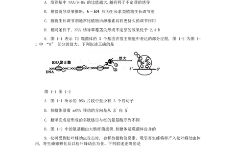 广西壮族自治区柳州市2024-2025学年高二下学期6月期末考试生物Word版无答案_2025年6月_250627广西壮族自治区柳州市2024-2025学年高二下学期6月期末考试（全科）
