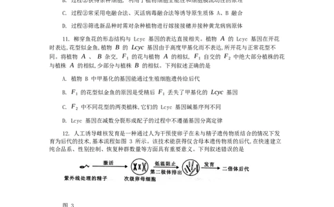 广西壮族自治区柳州市2024-2025学年高二下学期6月期末考试生物Word版无答案_2025年6月_250627广西壮族自治区柳州市2024-2025学年高二下学期6月期末考试（全科）