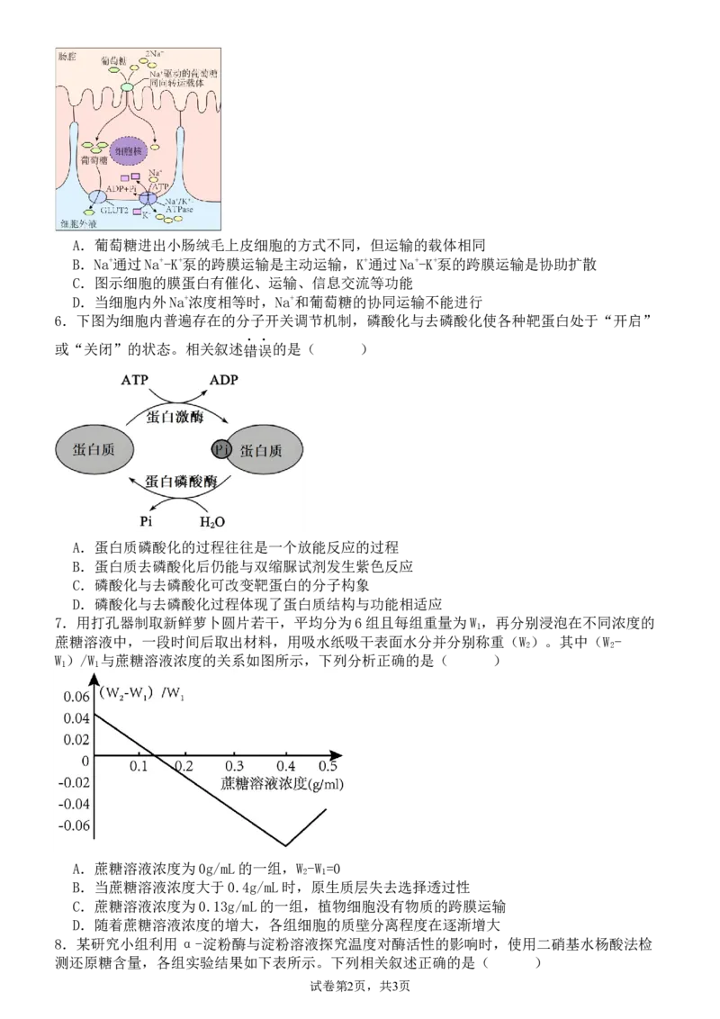 河南省实验中学2024-2025学年高二下学期第二次月考生物试卷（含答案）_2025年6月_250615河南省实验中学2024-2025学年高二下学期第二次月考（全科）(1)