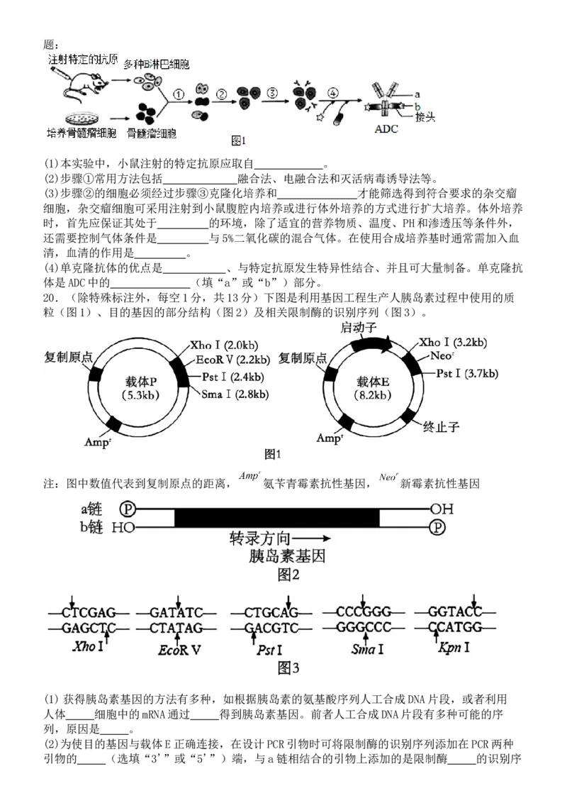河南省实验中学2024-2025学年高二下学期第二次月考生物试卷（含答案）_2025年6月_250615河南省实验中学2024-2025学年高二下学期第二次月考（全科）(1)