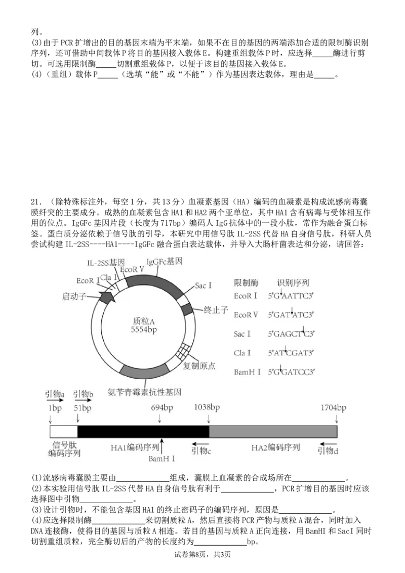 河南省实验中学2024-2025学年高二下学期第二次月考生物试卷（含答案）_2025年6月_250615河南省实验中学2024-2025学年高二下学期第二次月考（全科）(1)