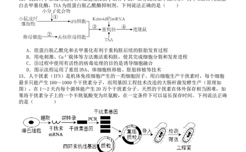 河南省实验中学2024-2025学年高二下学期第二次月考生物试卷（含答案）_2025年6月_250615河南省实验中学2024-2025学年高二下学期第二次月考（全科）(1)