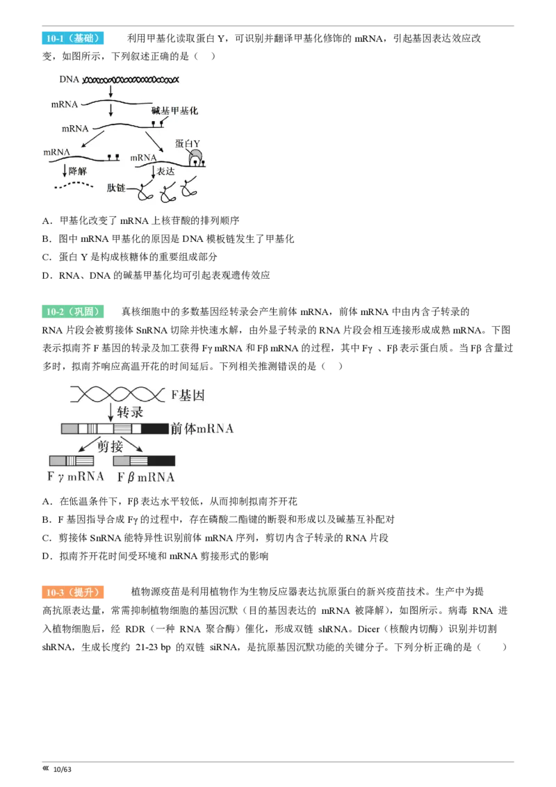 吉林省点石联考2026届高三上学期12月联考考后巩固卷生物_2025年12月_251221吉林省点石联考2026届高三上学期12月联考考后巩固卷（全科）