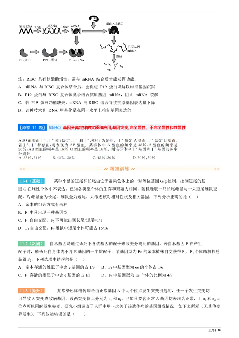 吉林省点石联考2026届高三上学期12月联考考后巩固卷生物_2025年12月_251221吉林省点石联考2026届高三上学期12月联考考后巩固卷（全科）