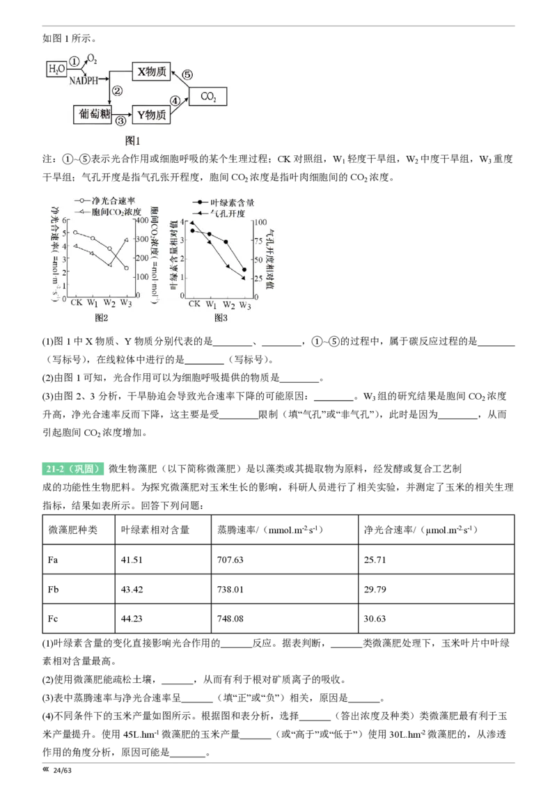 吉林省点石联考2026届高三上学期12月联考考后巩固卷生物_2025年12月_251221吉林省点石联考2026届高三上学期12月联考考后巩固卷（全科）