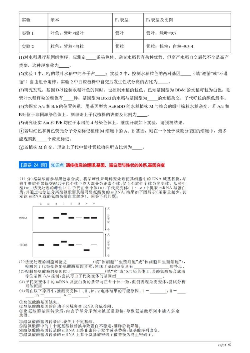 吉林省点石联考2026届高三上学期12月联考考后巩固卷生物_2025年12月_251221吉林省点石联考2026届高三上学期12月联考考后巩固卷（全科）