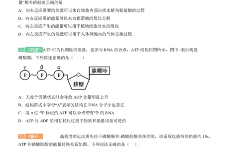 吉林省点石联考2026届高三上学期12月联考考后巩固卷生物_2025年12月_251221吉林省点石联考2026届高三上学期12月联考考后巩固卷（全科）