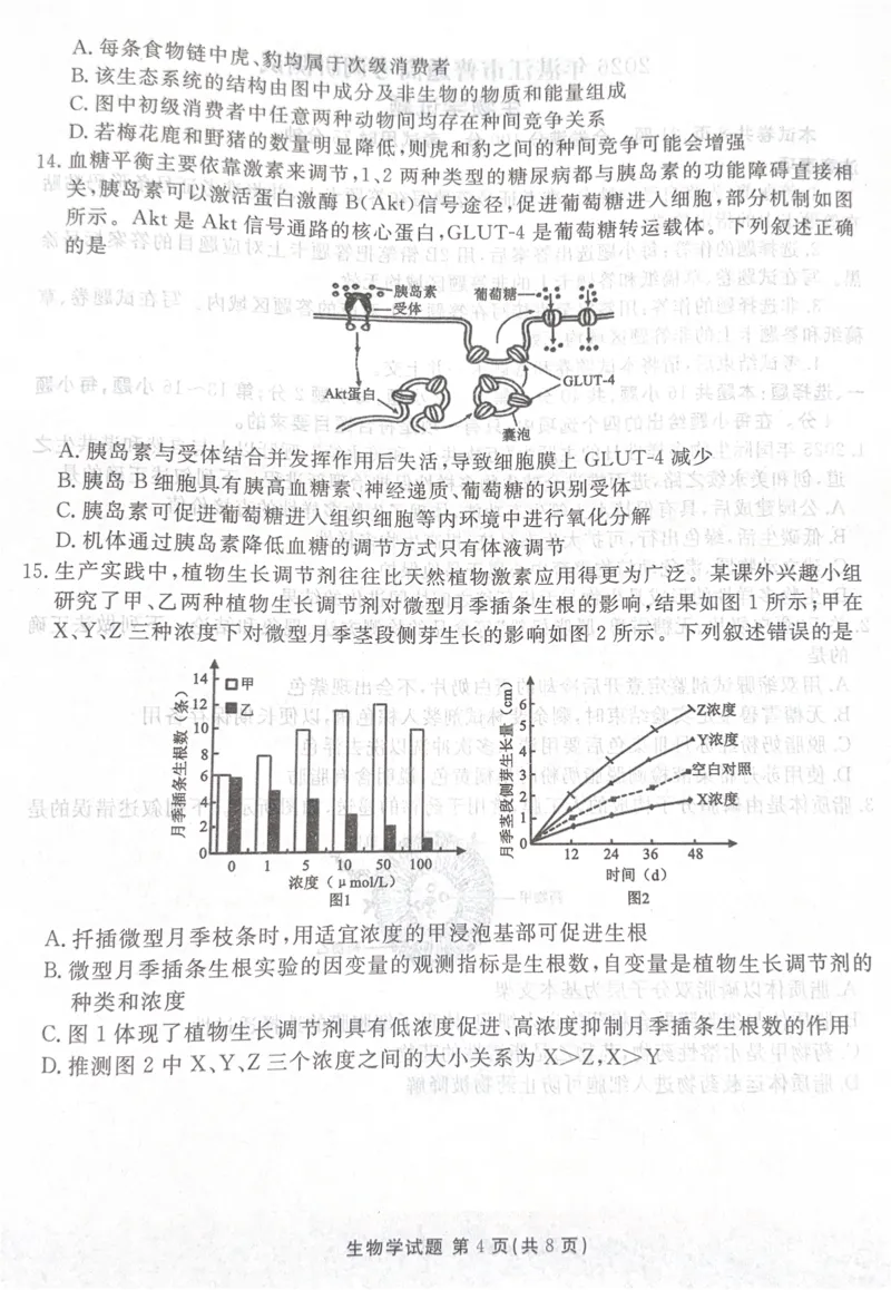 广东省湛江市2025&mdash;2026学年高三上学期第一次调研考试生物试题_251104广东省湛江市2026届高三普通高考10月调研测试（全科）