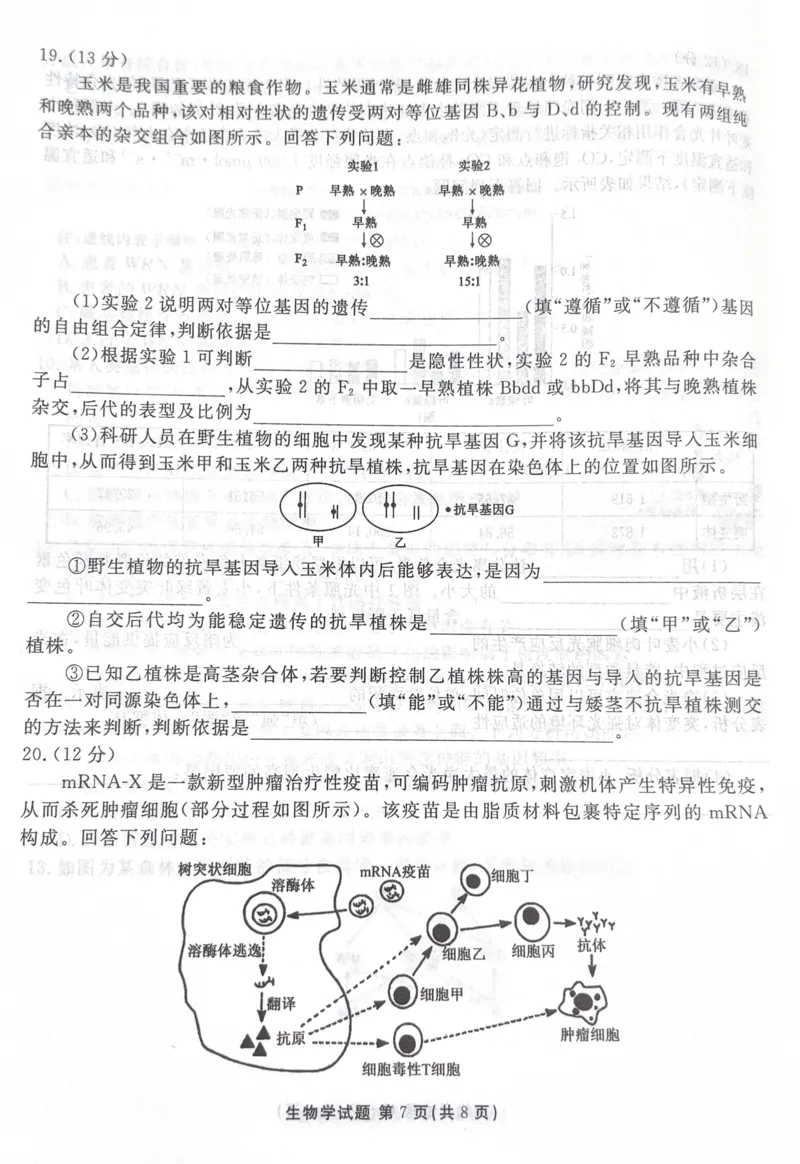 广东省湛江市2025&mdash;2026学年高三上学期第一次调研考试生物试题_251104广东省湛江市2026届高三普通高考10月调研测试（全科）