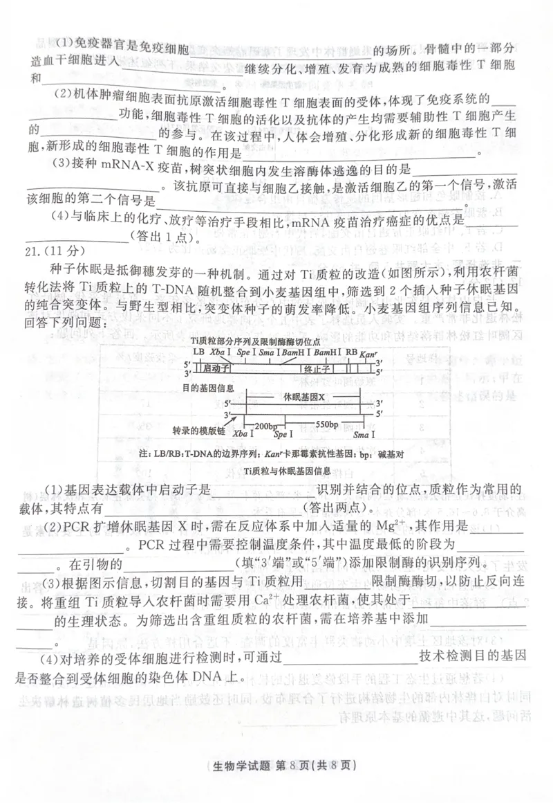 广东省湛江市2025&mdash;2026学年高三上学期第一次调研考试生物试题_251104广东省湛江市2026届高三普通高考10月调研测试（全科）