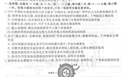 广东省湛江市2025&mdash;2026学年高三上学期第一次调研考试生物试题_251104广东省湛江市2026届高三普通高考10月调研测试（全科）