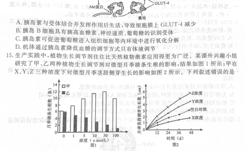 广东省湛江市2025&mdash;2026学年高三上学期第一次调研考试生物试题_251104广东省湛江市2026届高三普通高考10月调研测试（全科）