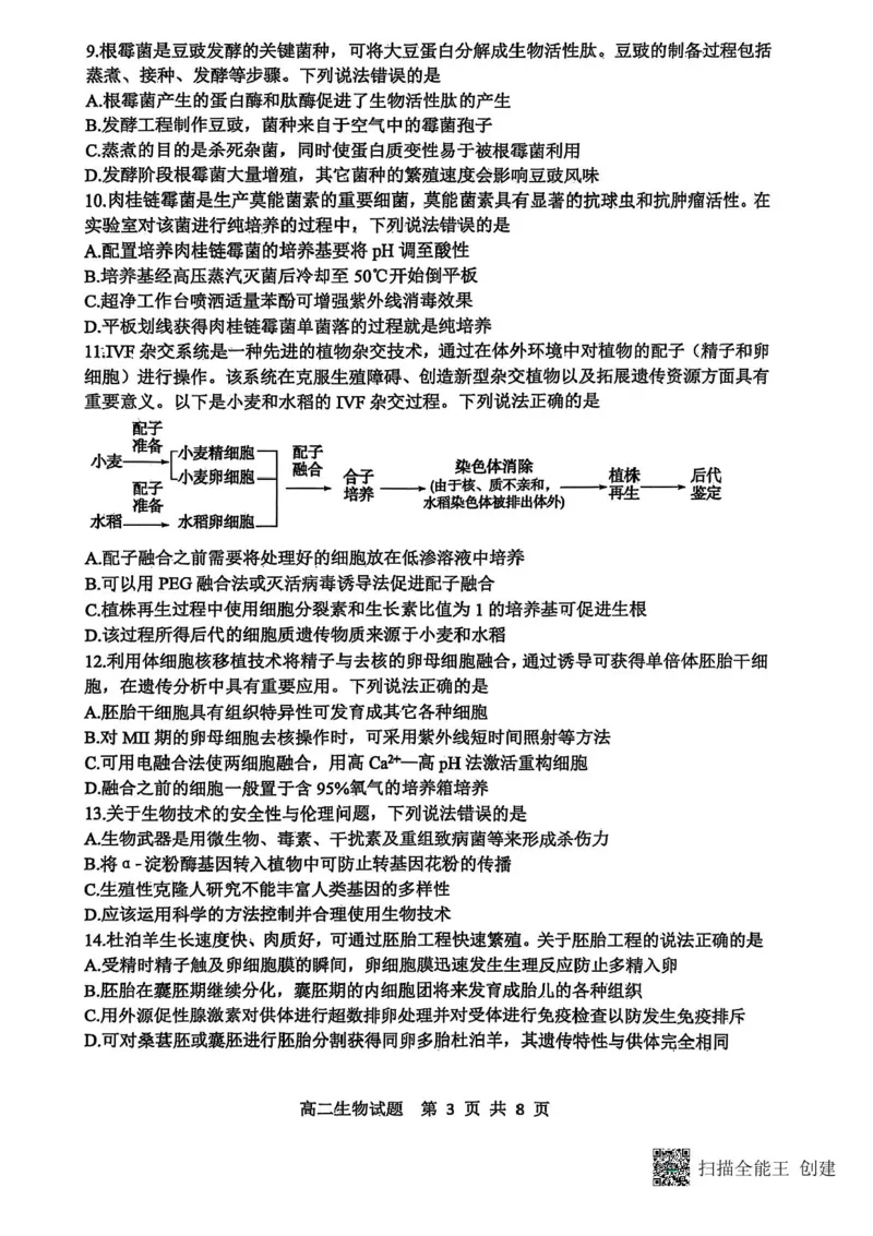 山东省东营市2024-2025学年高二下学期期末质量监测生物试卷（含答案）_2025年7月_250710山东省东营市2024-2025学年高二下学期期末质量监测（全科）