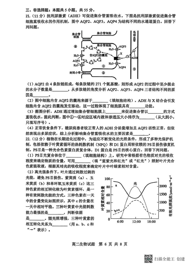 山东省东营市2024-2025学年高二下学期期末质量监测生物试卷（含答案）_2025年7月_250710山东省东营市2024-2025学年高二下学期期末质量监测（全科）