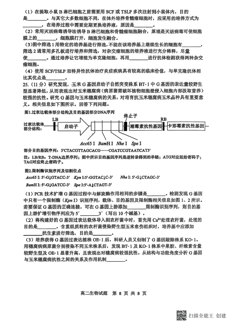 山东省东营市2024-2025学年高二下学期期末质量监测生物试卷（含答案）_2025年7月_250710山东省东营市2024-2025学年高二下学期期末质量监测（全科）