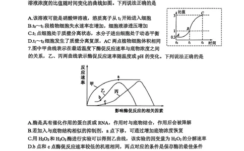 山东省东营市2024-2025学年高二下学期期末质量监测生物试卷（含答案）_2025年7月_250710山东省东营市2024-2025学年高二下学期期末质量监测（全科）