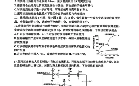 山东省东营市2024-2025学年高二下学期期末质量监测生物试卷（含答案）_2025年7月_250710山东省东营市2024-2025学年高二下学期期末质量监测（全科）